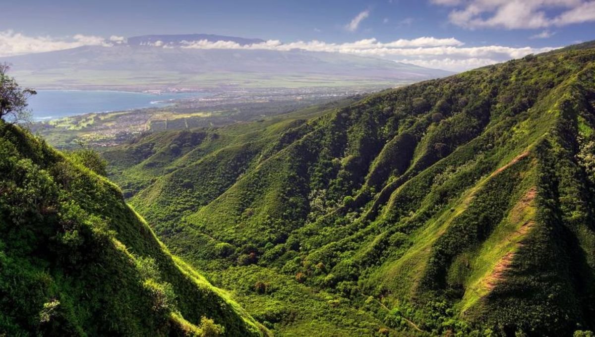 Kahului