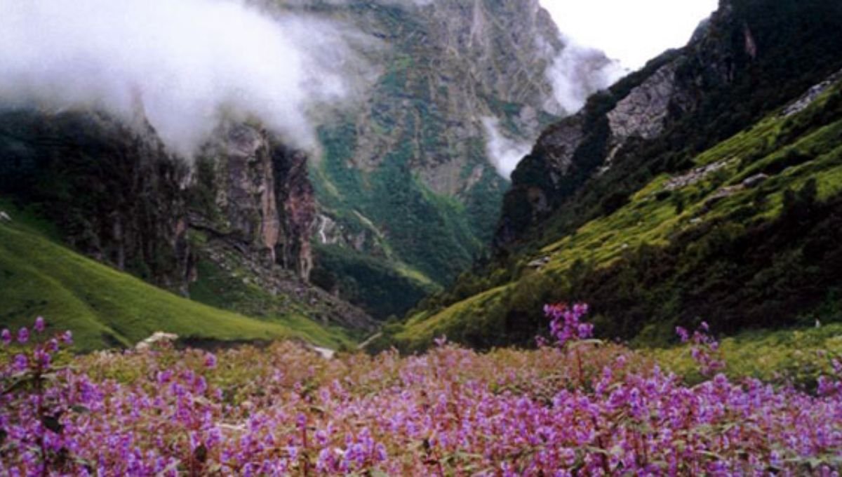 Nagaland