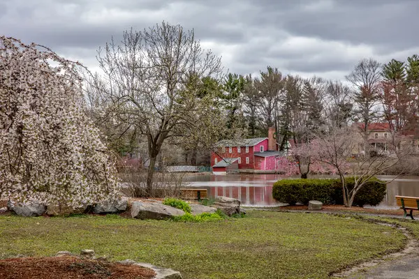 Bergenfield