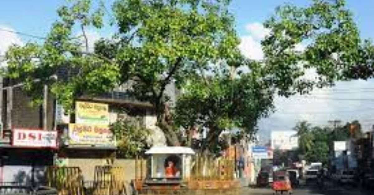 Horana