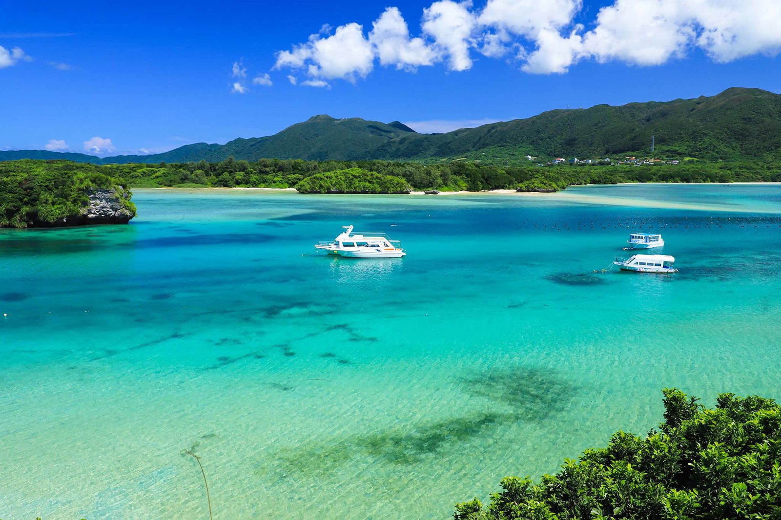 Ishigaki